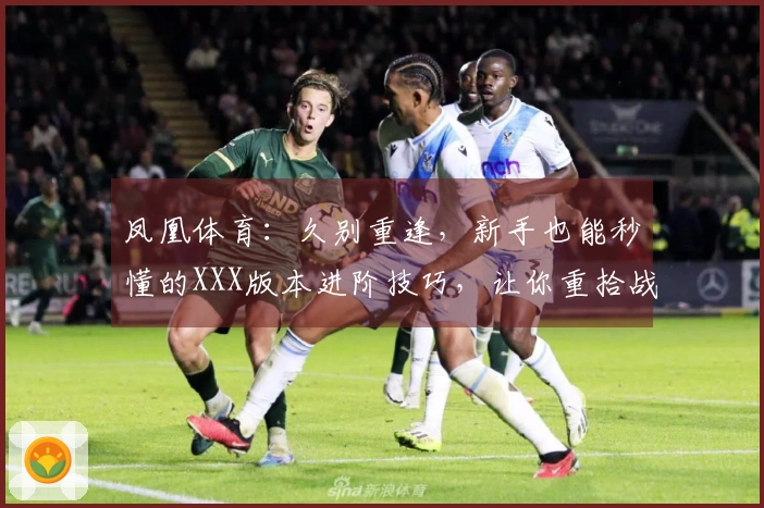 凤凰体育：久别重逢，新手也能秒懂的XXX版本进阶技巧，让你重拾战场英姿