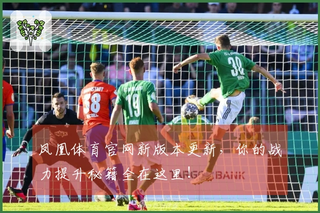 凤凰体育官网新版本更新，你的战力提升秘籍全在这里！